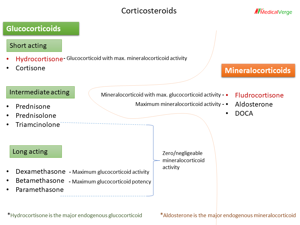 corticosteroids list