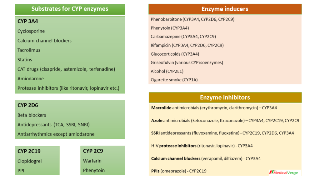 CYP enzyme substrates table