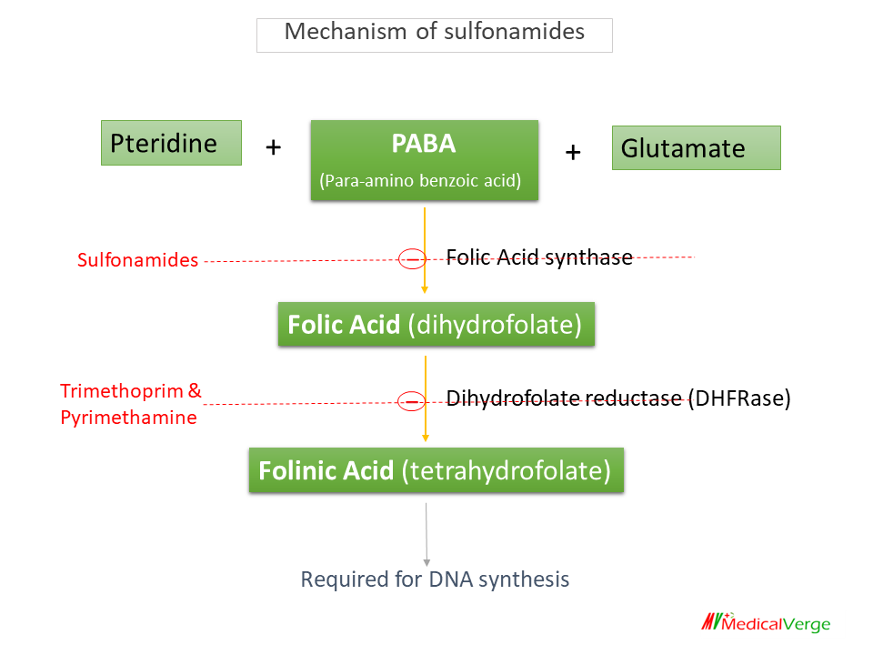 mechanism of metabolic inhibitors