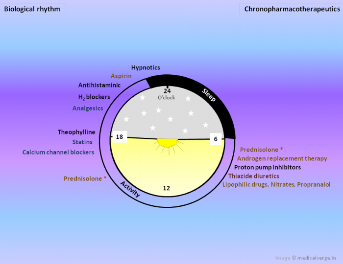 biological rhythm image-chronopharmacotherapeutics